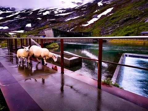 Trollstigen 库存照片