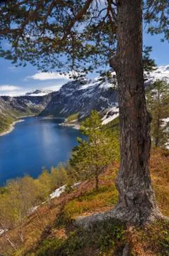 Trolltunga, norway Stock Photos
