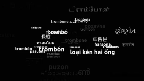 Trombone Translated in 47 Worldwide Languages Endless Looping 3d Zooming Word Vidéo 145207549