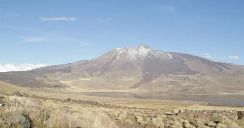 Tromen Volcano y National Park. Mountain with bed of lava 動画素材 91852653