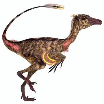 Troodon bird-like dinosaur. Stock Illustration