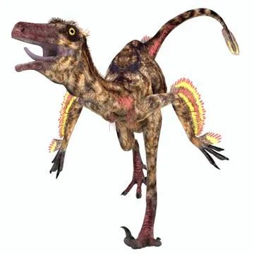 Troodon bird-like dinosaur. Stock Illustration