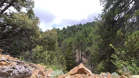 Troodos Mountain Landscape Clouds Rocks Pine Trees Cyprus 4K Static Stock Footage 341250901