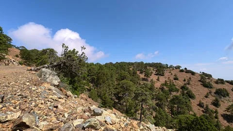 Troodos Mountain Landscape Clouds Rocks Pine Trees Cyprus 4K Static Stock Footage 341252151
