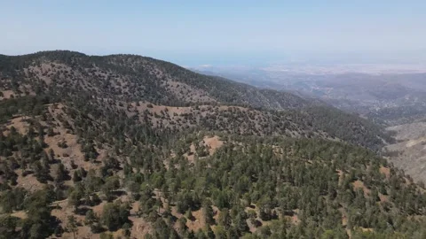 Troodos Mountains Video stock 200818154