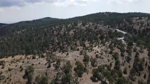 Troodos Mountains Stock Footage 200818613