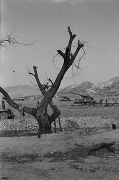 Troops Crossing The 38th Parallel, Korea Fotos Stock