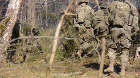 Troops Set Up Barbed Wire in a Wooded Area co Stock Footage 116616372