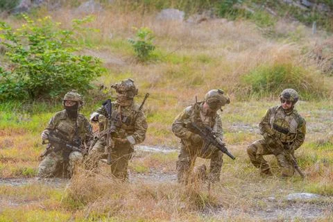 Troops training in a grassy area during a military exercise in the afternoon Stock Photos