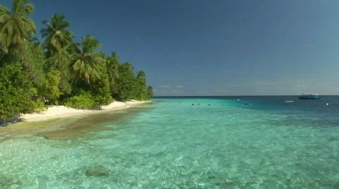 Tropcial beach Vidéo 70993