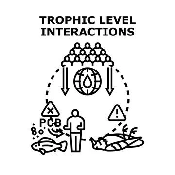 Trophic level interactions affecting environment and human health Stock Illustration