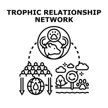 Trophic relationship network depicting ecological balance Stock Illustration