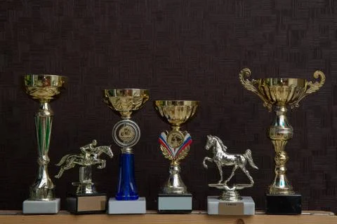 Trophies for equestrian sports on a dark wall Stock Photos
