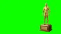 Trophy award ceremony intro with space for title text nomination 4K 4k or 4k+ Resolution