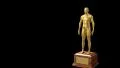 Trophy award ceremony intro with space for title text nomination 4K 4k or 4k+ Resolution