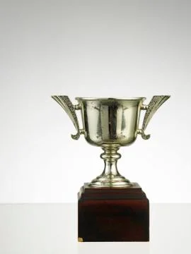 Trophy Stock Photos