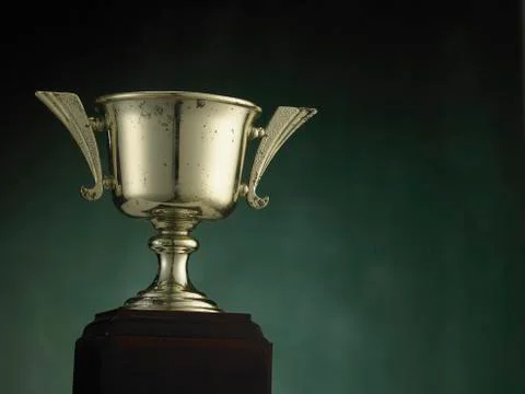 Trophy 스톡 사진