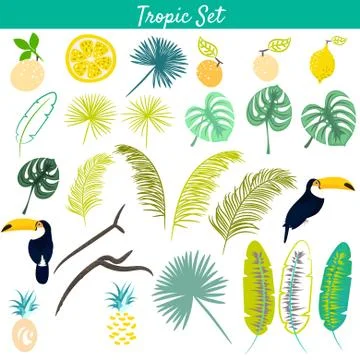 Tropic clipart vector set Illustrazione stock