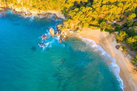 Tropic coast Stock Photos