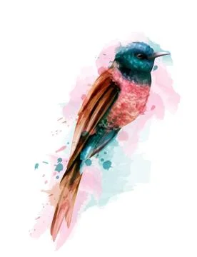 Tropic colorful small bird Vector watercolor. Cute bird illustration. blue co Stock Illustration