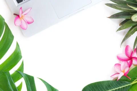 Tropic flat lay top view tropical botanic concept Stock Photos