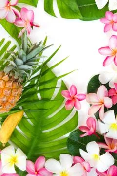 Tropic flat lay top view tropical botanic concept Stock Photos