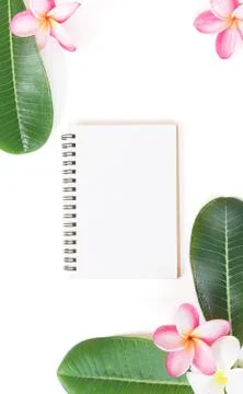 Tropic flat lay top view tropical summer botanical concept with note book pal Stock Photos
