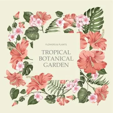 Tropic flower frame with template text over gray background. Sign in the center Ilustração Stock