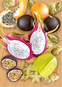 Tropic fruits pattern Vector realistic. Dragon fruit, granadilla, passion fru 스톡 일러스트
