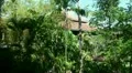 Tropic Garden hotel HD Footage