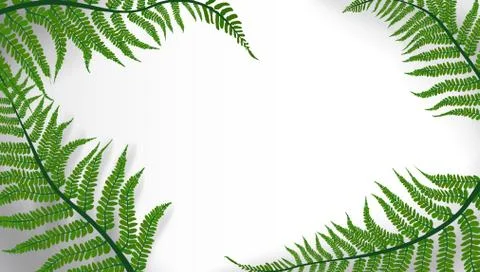 Tropic Leaves Background With Copyspace For Text Stock-Illustration
