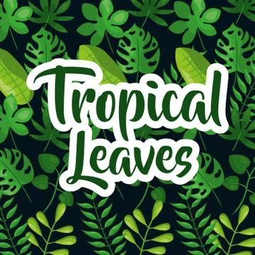 Tropic leaves background with frame for your text. Vintage texture.Eps10 vector. Illustrazione stock