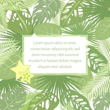 Tropic leaves background with frame for your text. Exotic banner template. Stock Illustration