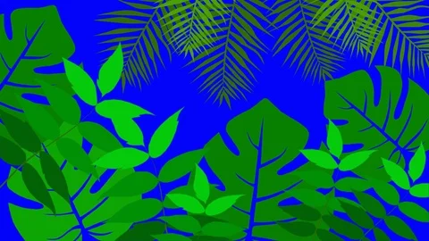 Tropic leaves Stock Footage 125564181
