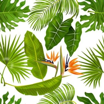 Tropic leaves pattern. Seamless texture with exotic leaves of jungle foliage イラスト素材