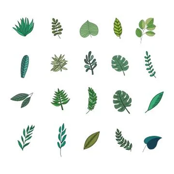 Tropic leaves set イラスト素材