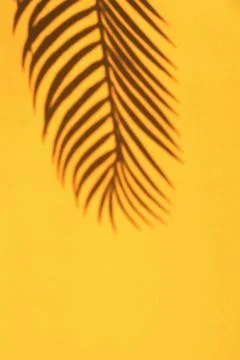 Tropic palm leaf shadow on the bright yellow wall background. Stock Photos