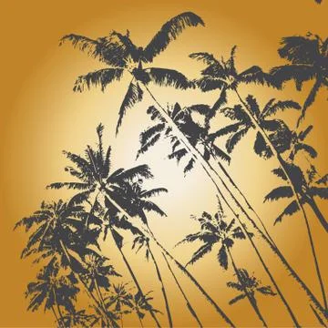 Tropic palms Stock Illustration