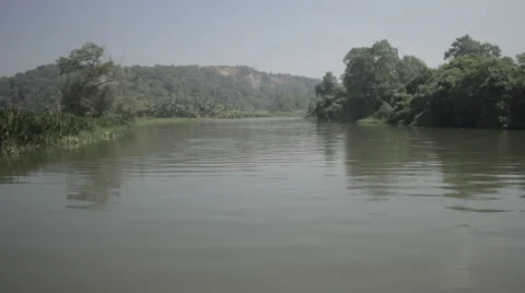 Tropic river Vidéo 41128744