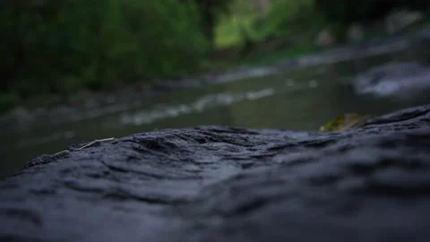 Tropic River Video stock 145237187