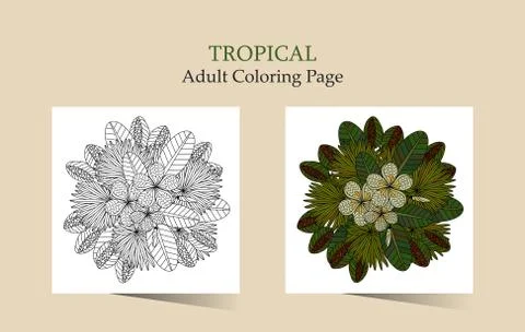 Tropic vector illustration Stock Illustration