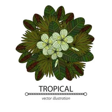 Tropic vector illustration Stock Illustration