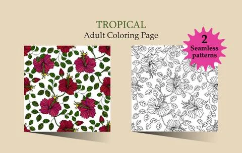 Tropic vector illustration Stock Illustration