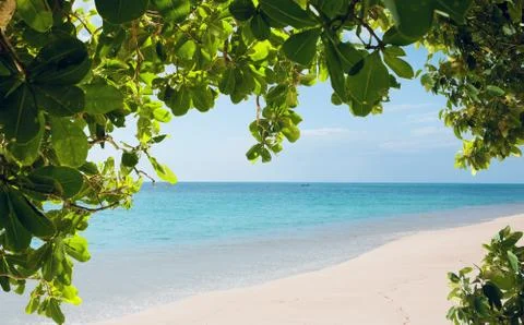 Tropic view 写真素材