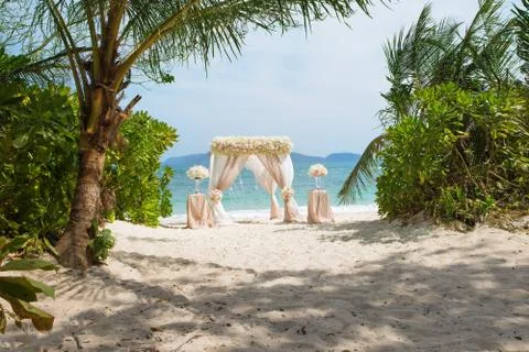 Tropic wedding 写真素材