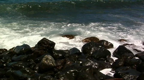 Tropical 22 - HD Stock Footage 133860