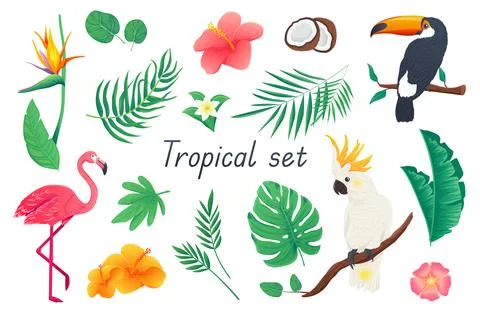 Tropical 3d realistic set. Bundle of colorful flowers and palms or monstera Illustrazione stock