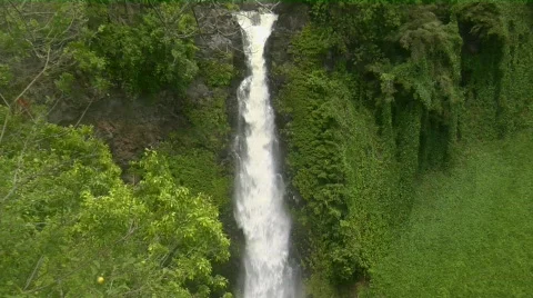 Tropical 47 - HD Stock Footage 133930