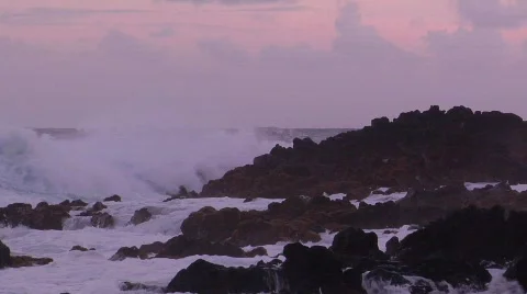 Tropical 62 - HD Stock Footage