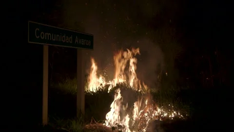 Tropical Amazon destroyed by illegal burning Stock Footage 140615269